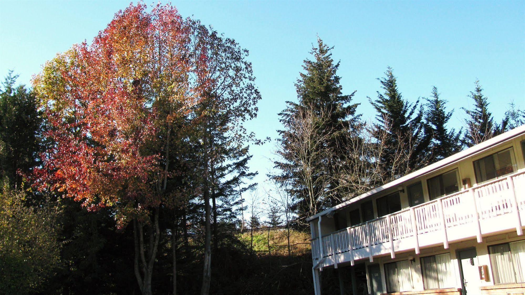 Motel Puyallup Zewnętrze zdjęcie